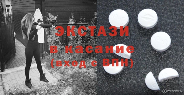 гашик Гусь-Хрустальный