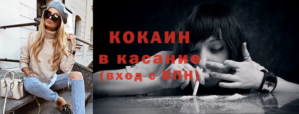 ГАЛЛЮЦИНОГЕННЫЕ ГРИБЫ Дмитриев