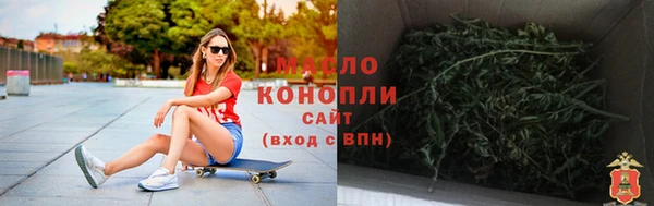 гашик Гусь-Хрустальный