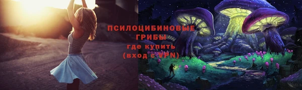 Альфа ПВП Дмитров