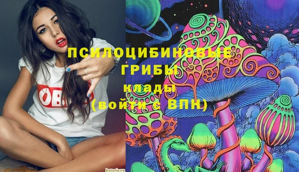 Альфа ПВП Дмитров