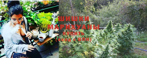 ГАЛЛЮЦИНОГЕННЫЕ ГРИБЫ Дмитриев