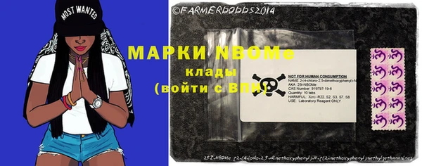 ГАЛЛЮЦИНОГЕННЫЕ ГРИБЫ Дмитриев