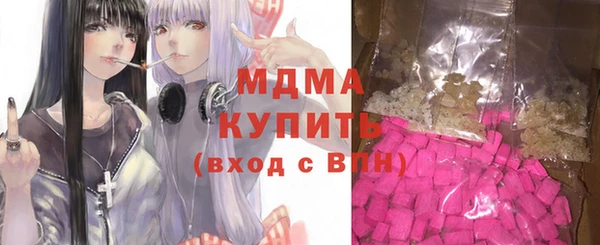 ГАЛЛЮЦИНОГЕННЫЕ ГРИБЫ Дмитриев
