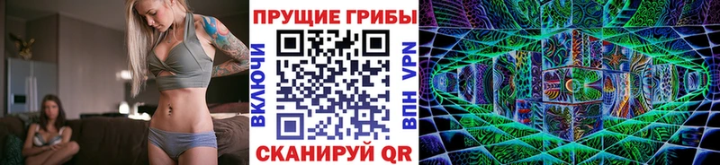 Галлюциногенные грибы GOLDEN TEACHER  Чегем 